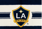 LA Club Flag