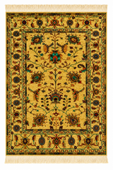 Saffron Garden Paisley Floral Area Rug