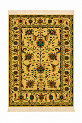 Persian Paisley Floral Area Rug